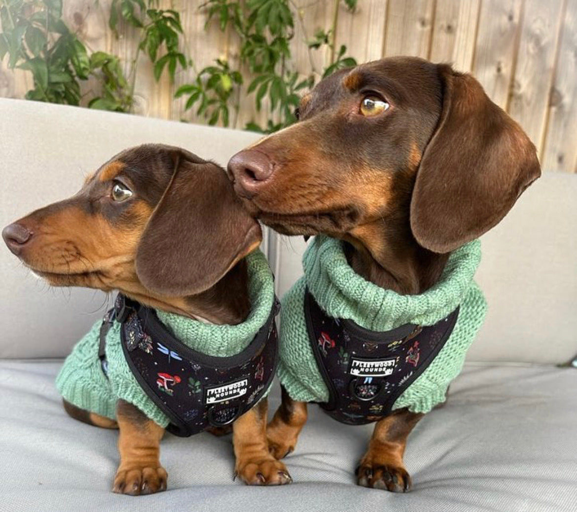 Wild wood bundle set