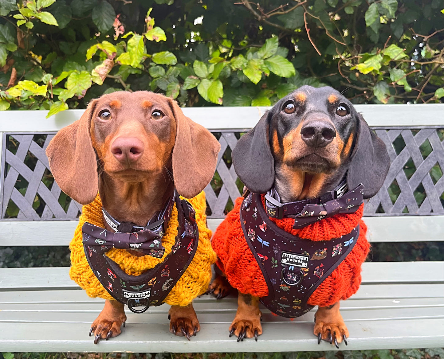 Wild wood bundle set