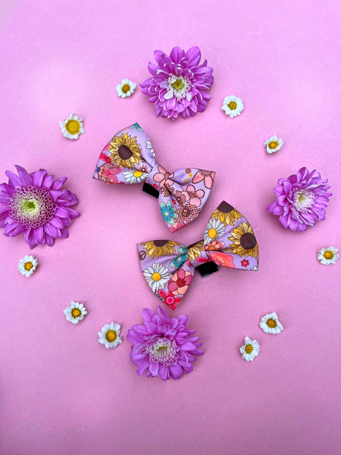 Silver springs bundle set