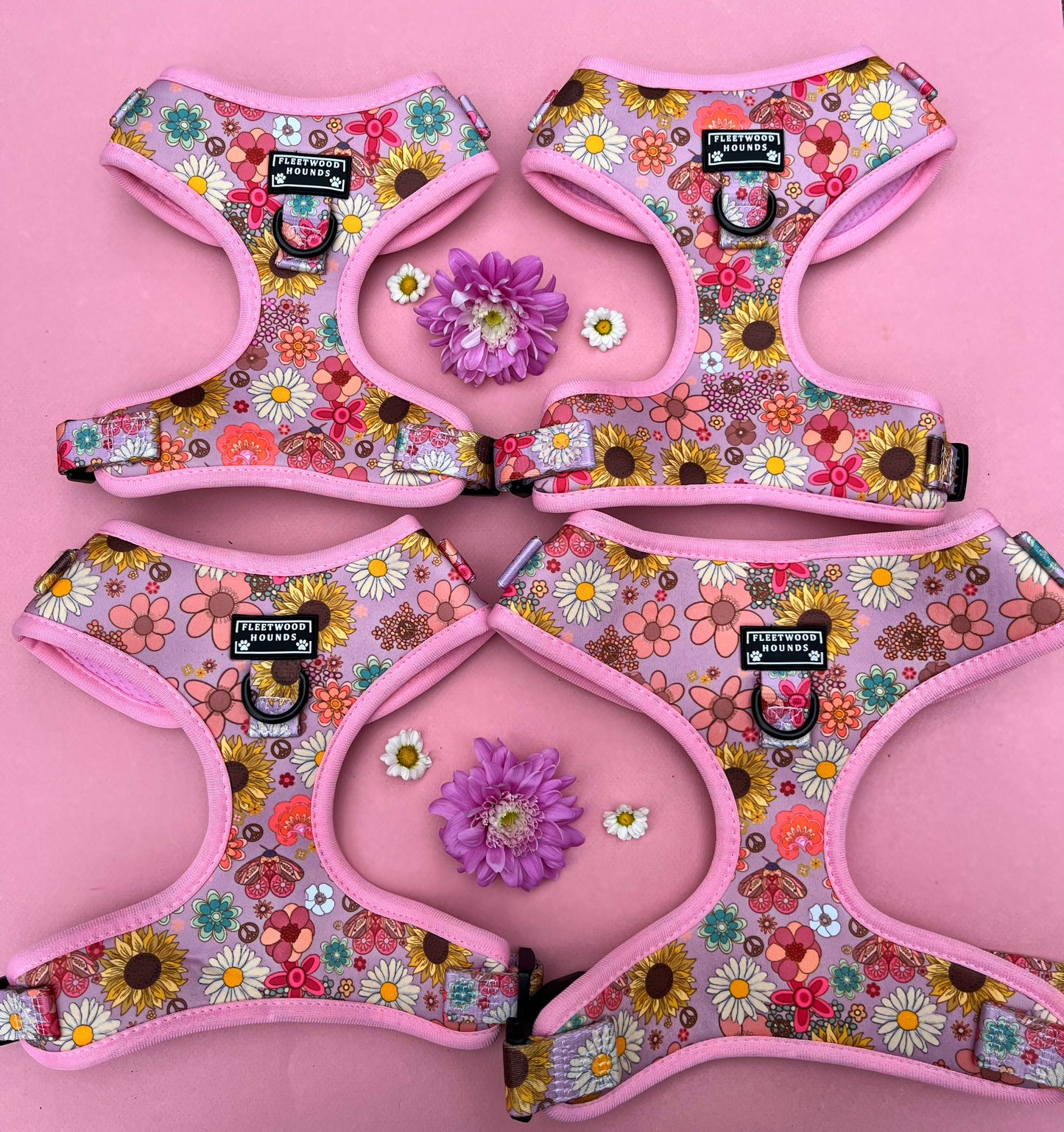 Silver Springs Harness