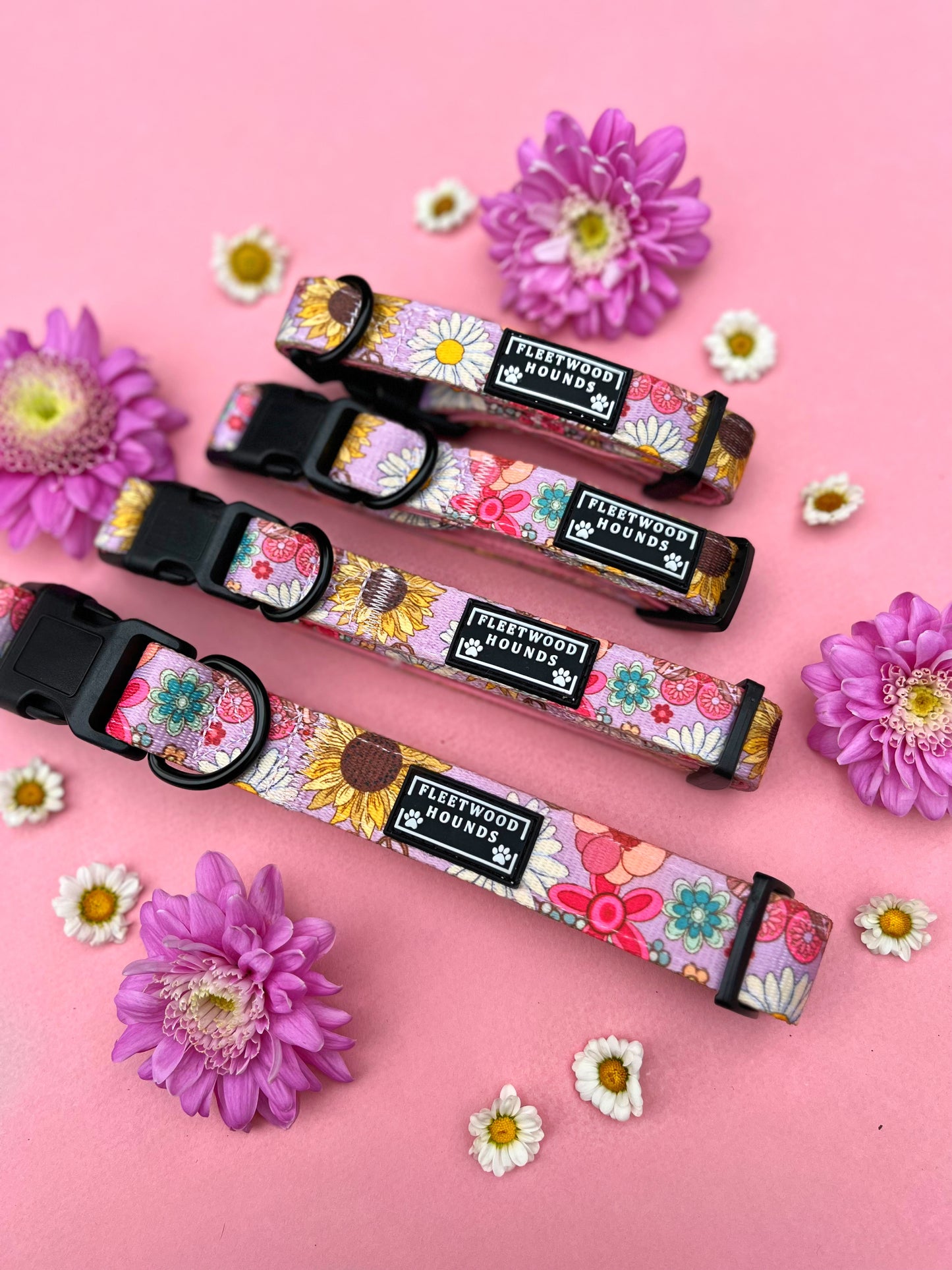 Silver springs bundle set