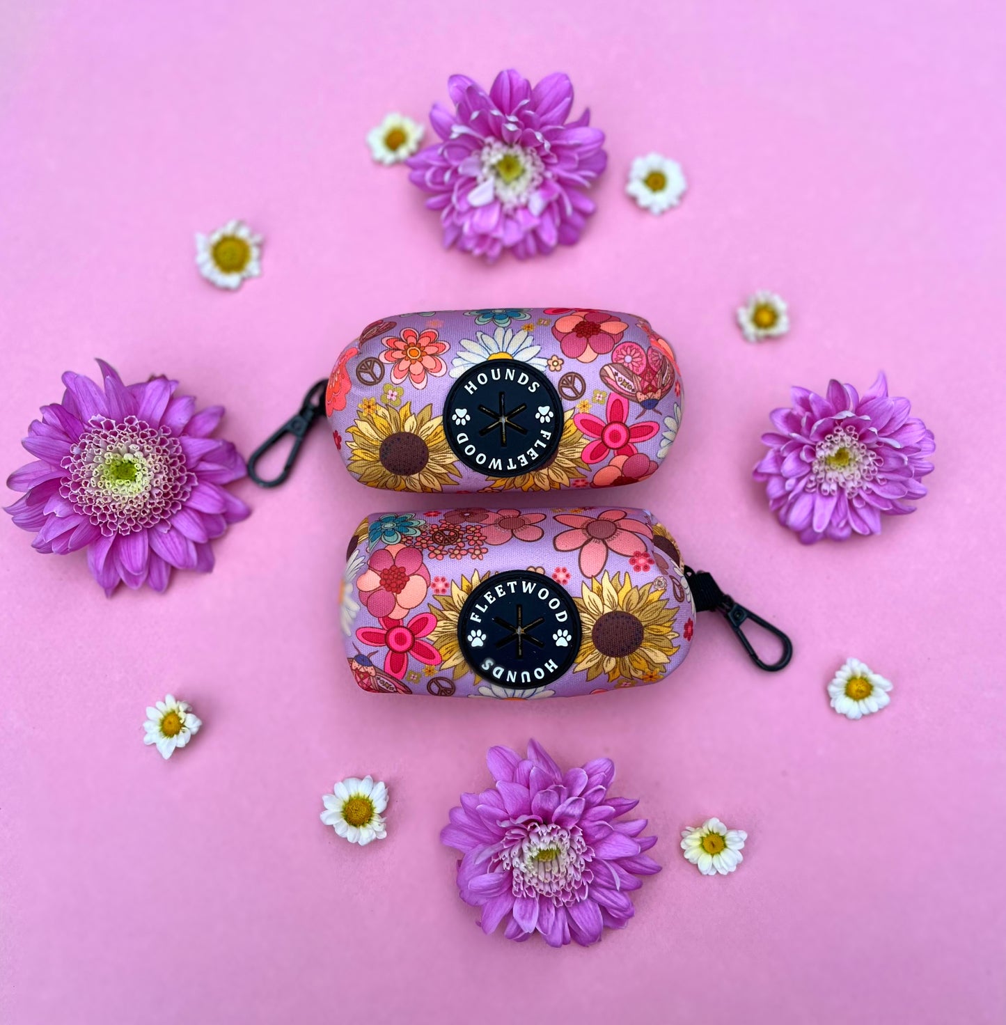 Silver springs bundle set