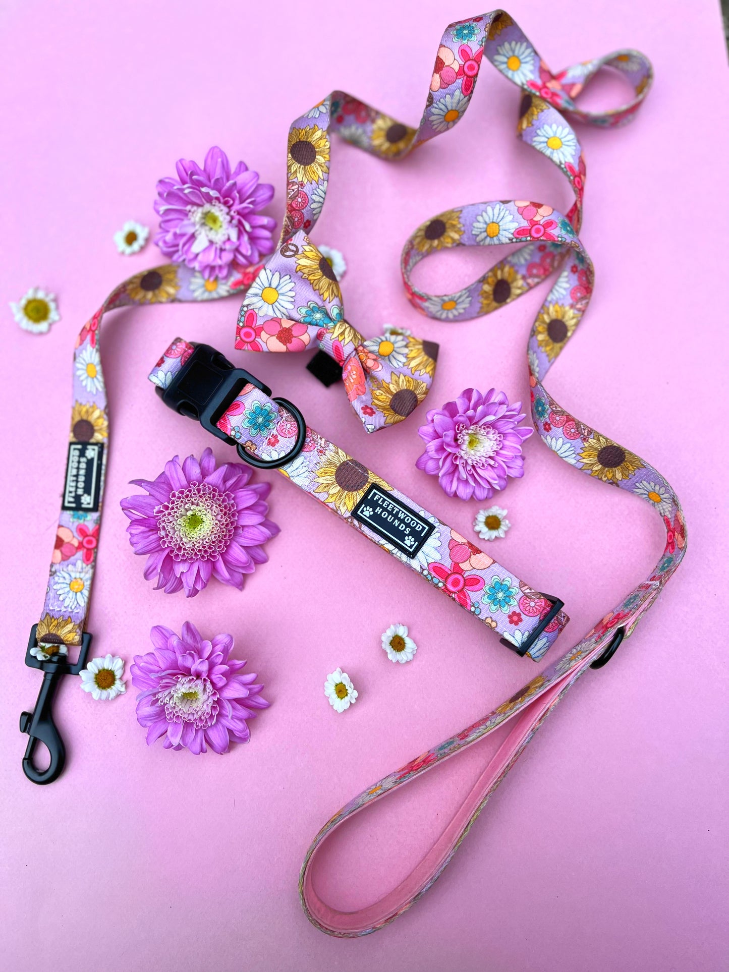 Silver springs bundle set