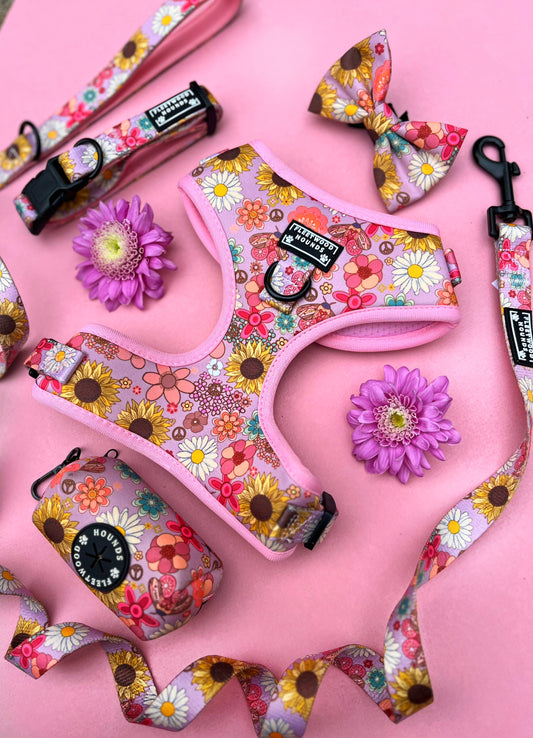 Silver springs bundle set